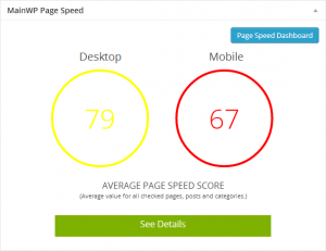 pagespeed widget on child dashboard - WordPress speed