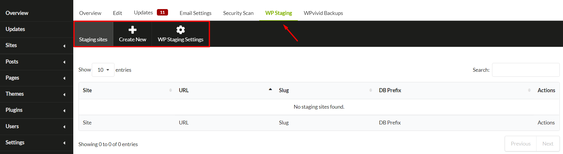 WP Staging Options