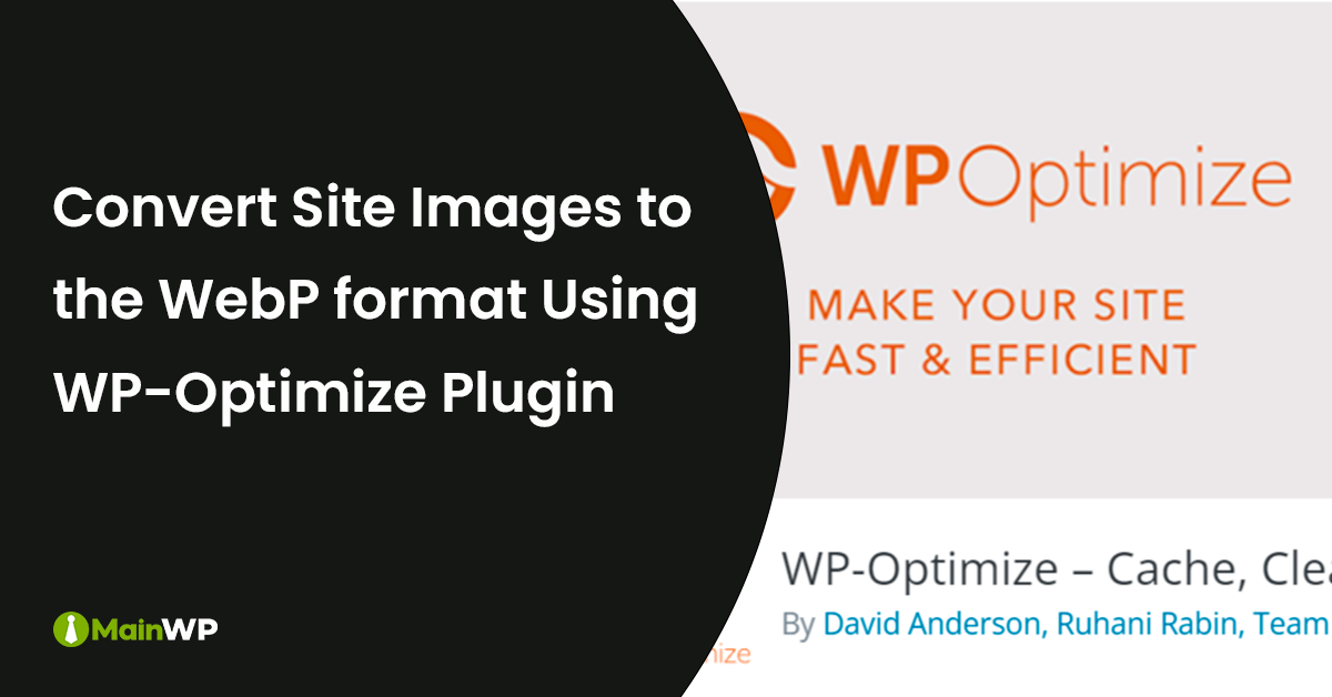 WebP Image Format - WP Optimize