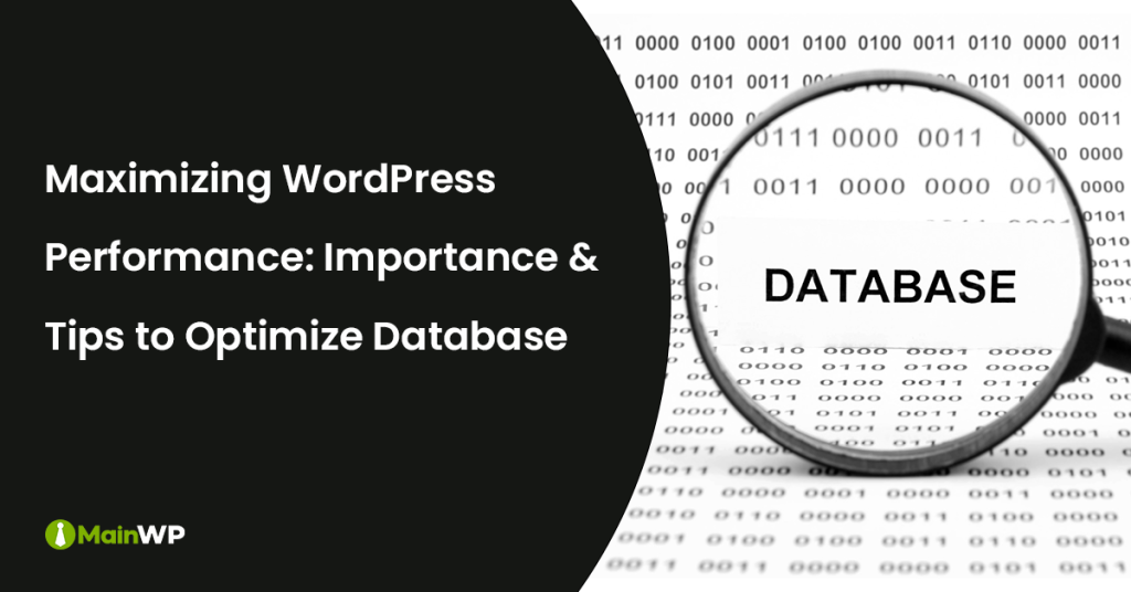 Streamline Your WordPress Site’s Database for Improved Performance